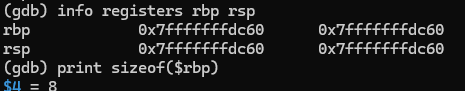 rbp레지스터 크기 확인